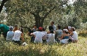 Spiritual Meditation & Mindfulness Retreats in Assisi, Italy, Europe people by tree photo