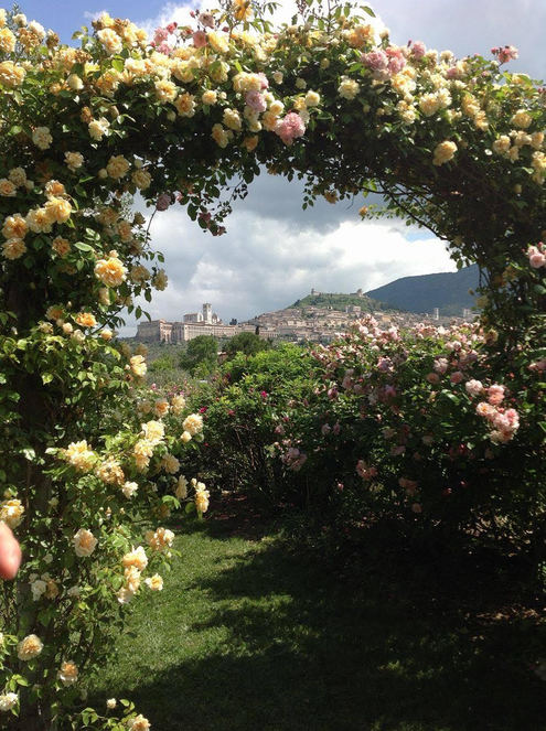 Spiritual Meditation & Mindfulness Retreats in Assisi, Italy, Europe flower arch photo